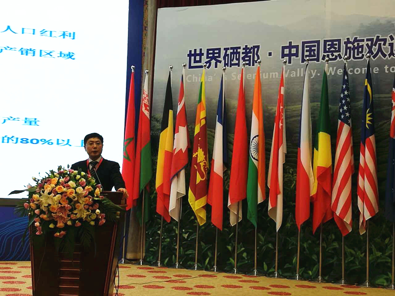 开云（中国）受邀参加2017国际茶业大会  集团董事长毛立民获奖