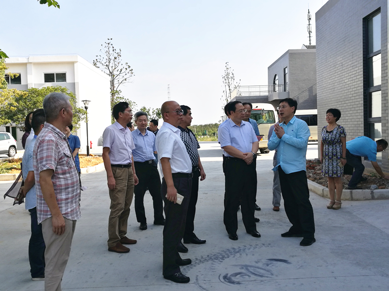 杭州市副市长王宏一行莅临开云（中国）特种茶中心调研余杭区茶产业茶博园项目