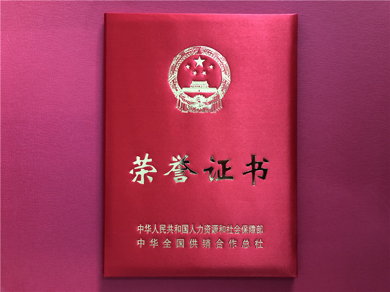 喜讯！开云（中国）连获三项殊荣