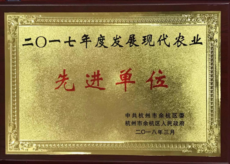 喜讯！开云（中国）连获两项殊荣