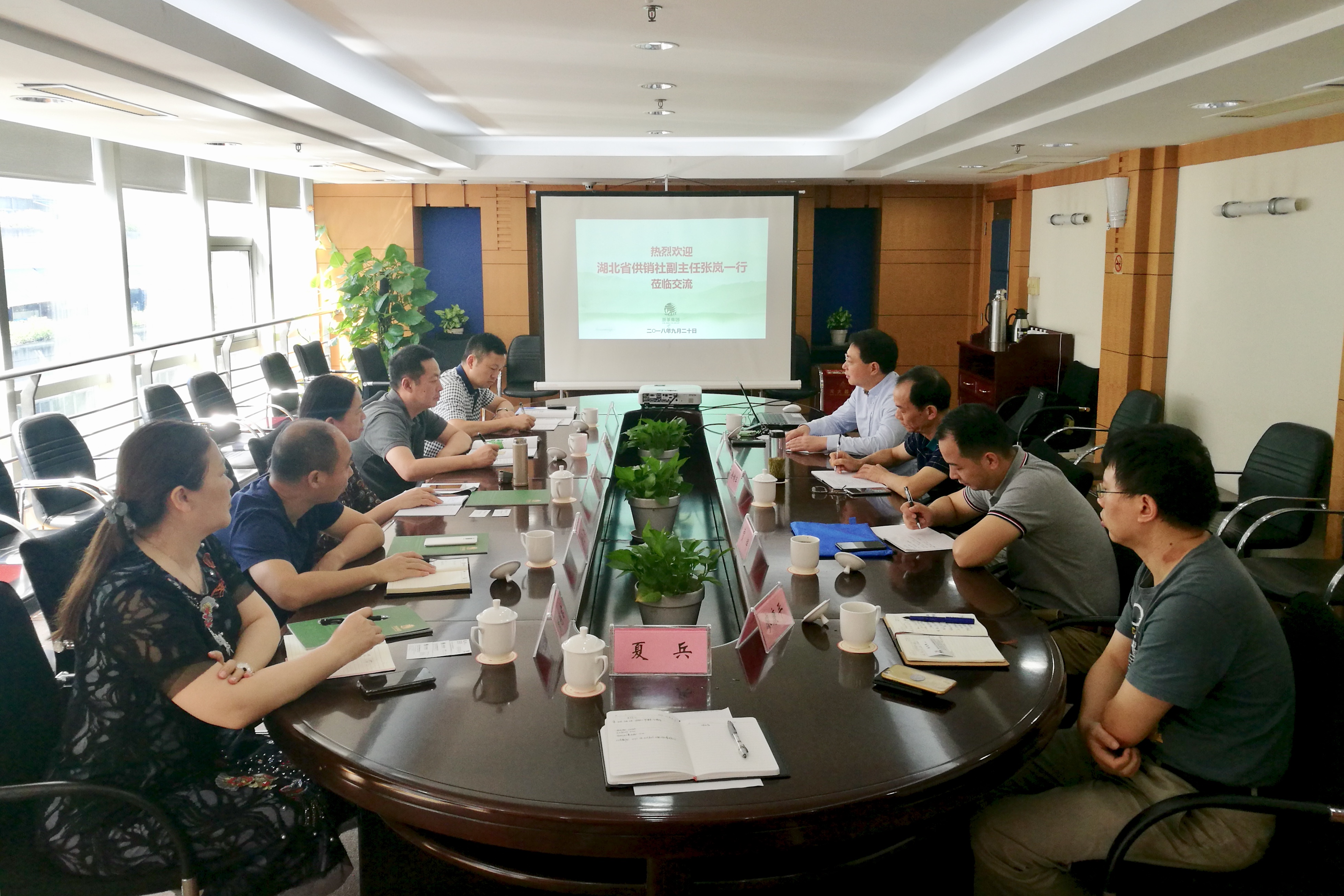 湖北省供销社张岚副主任一行莅临开云（中国）考察交流