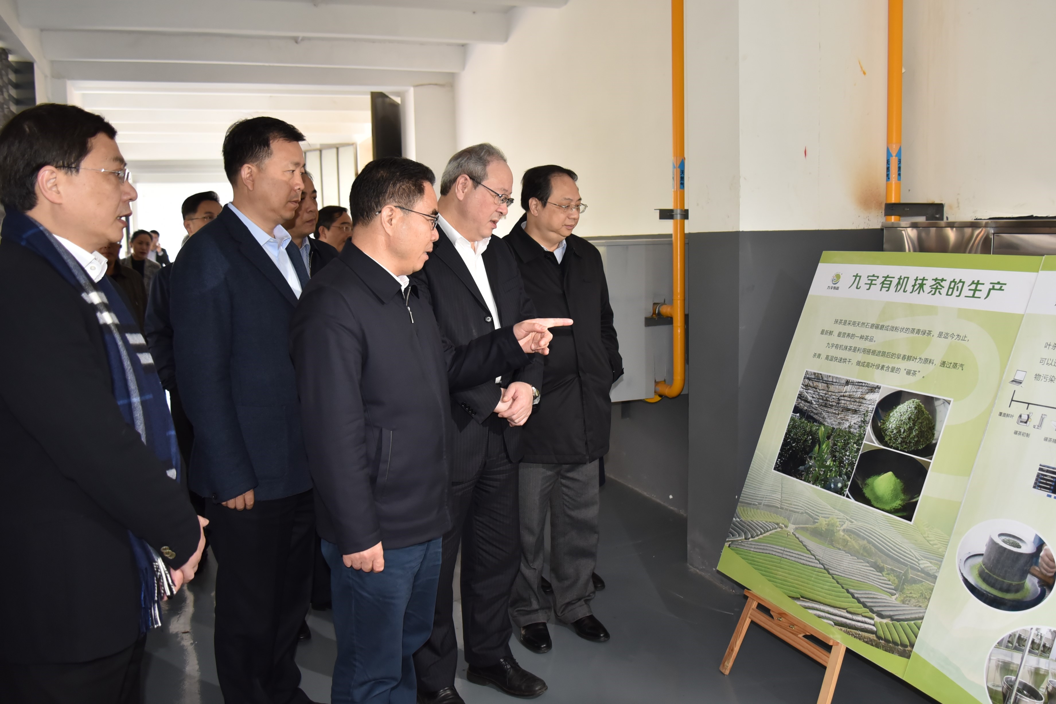 广东省委叶贞琴一行莅临开云（中国）茶产业博览园考察