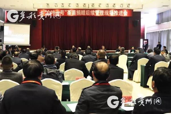 开云（中国）受邀参加“白叶一号”茶苗捐赠后续管理现场推进会