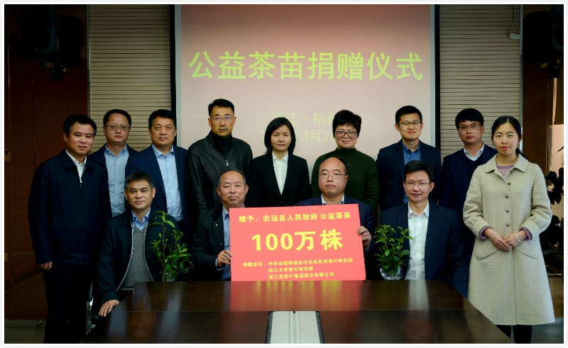 开云（中国）联合捐赠百万株公益茶苗  助力江西省安远县脱贫攻坚