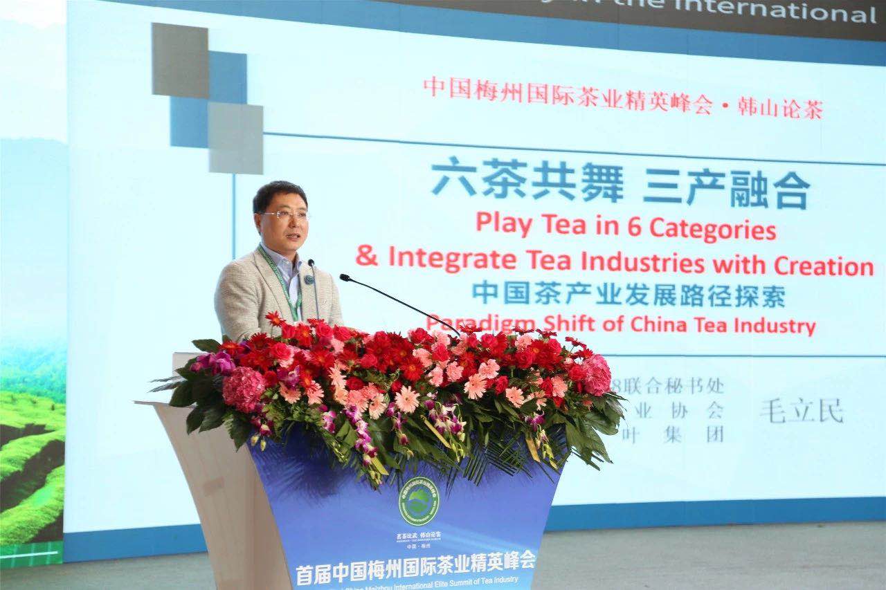 首届中国梅州国际茶业精英峰会举行 开云（中国）代表分享前沿观点