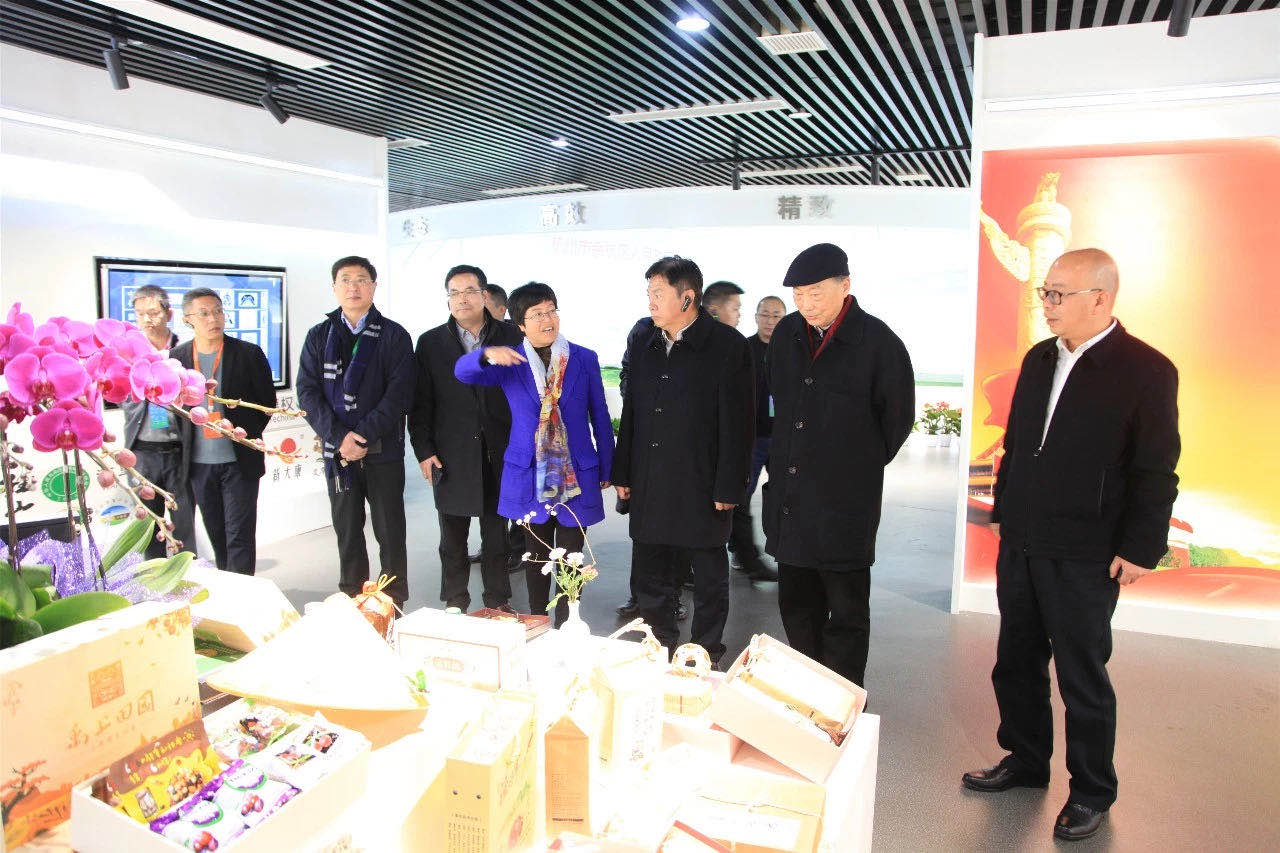 2019中国乡村振兴暨首届“一带一路”农业农村发展论坛嘉宾参观开云（中国）九宇有机茶博园