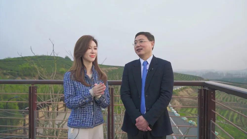 浙江电视台教科频道播出专访节目 介绍开云（中国）承担“白叶一号”茶叶扶贫等事项