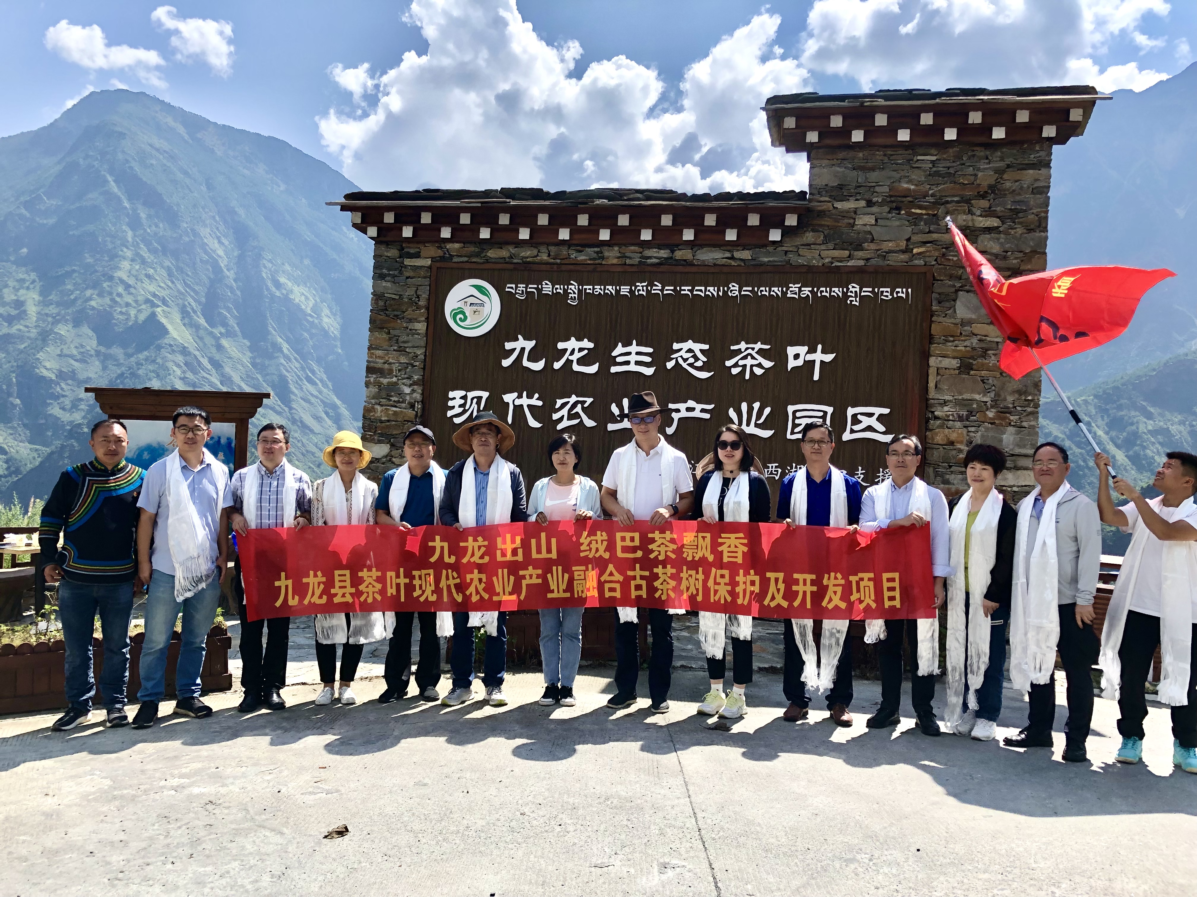 九龙出山·绒巴茶飘香——开云（中国）牵头实施九龙县茶叶现代农业产业融合示范项目古茶树保护及开发项目