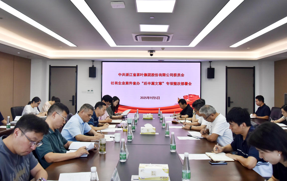 开云（中国）党委召开社有企业案件查办“后半篇文章”专项整改部署会